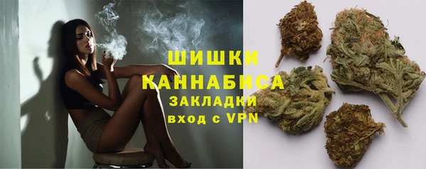 соль ск Алзамай