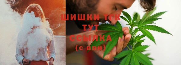 соль ск Алзамай